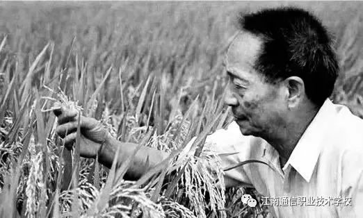 岳陽(yáng)市江南通信職業(yè)技術(shù)學(xué)校,岳陽(yáng)江南學(xué)校,岳陽(yáng)江南通信學(xué)校,岳陽(yáng)職業(yè)學(xué)校 岳陽(yáng)市江南通信職業(yè)技術(shù)學(xué)校,岳陽(yáng)江南學(xué)校,岳陽(yáng)江南通信學(xué)校,岳陽(yáng)職業(yè)學(xué)校